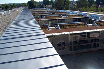 Edelstahldach RS 22-PS Profilbahn